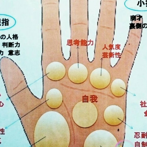 週間予定【2/18(月)〜2/24(日)】占い八王子　紫晃舘しこうかん
