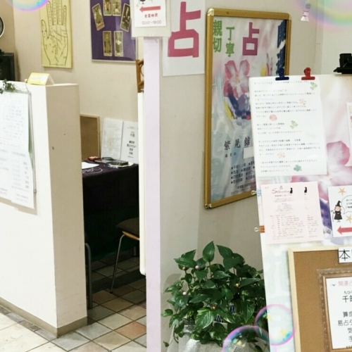 週間予定【2/18(月)〜2/24(日)】占い八王子　紫晃舘しこうかん